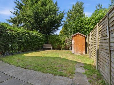 Picture 20